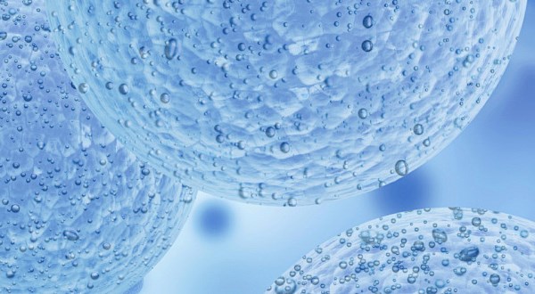 脐带间充质干细胞 