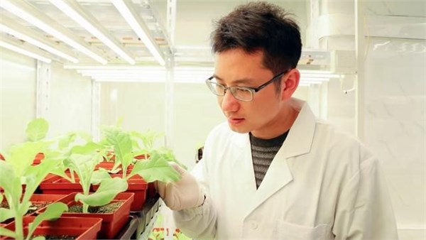 登上《细胞》封面！我国成功破解这一难题