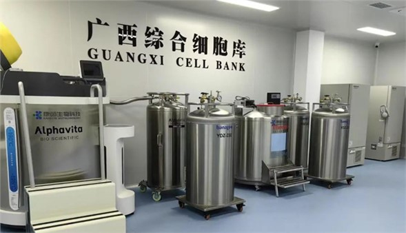 深耕细胞行业创新研究，为区域发展注入新动力